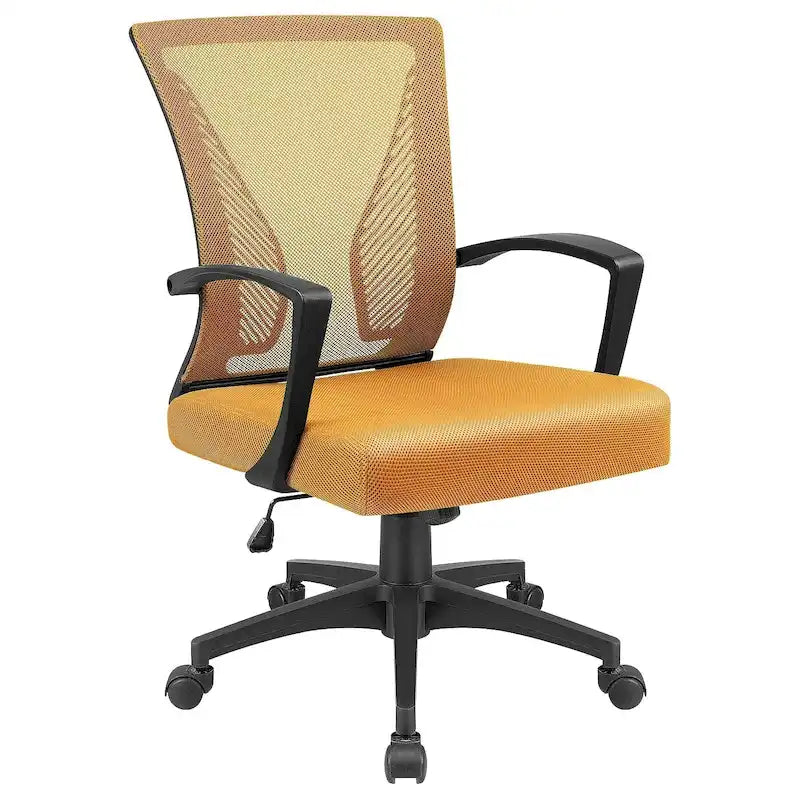 Mid-Back Mesh Ergonomic Office Chair with Lumbar Support and Armrests, Multi-Color